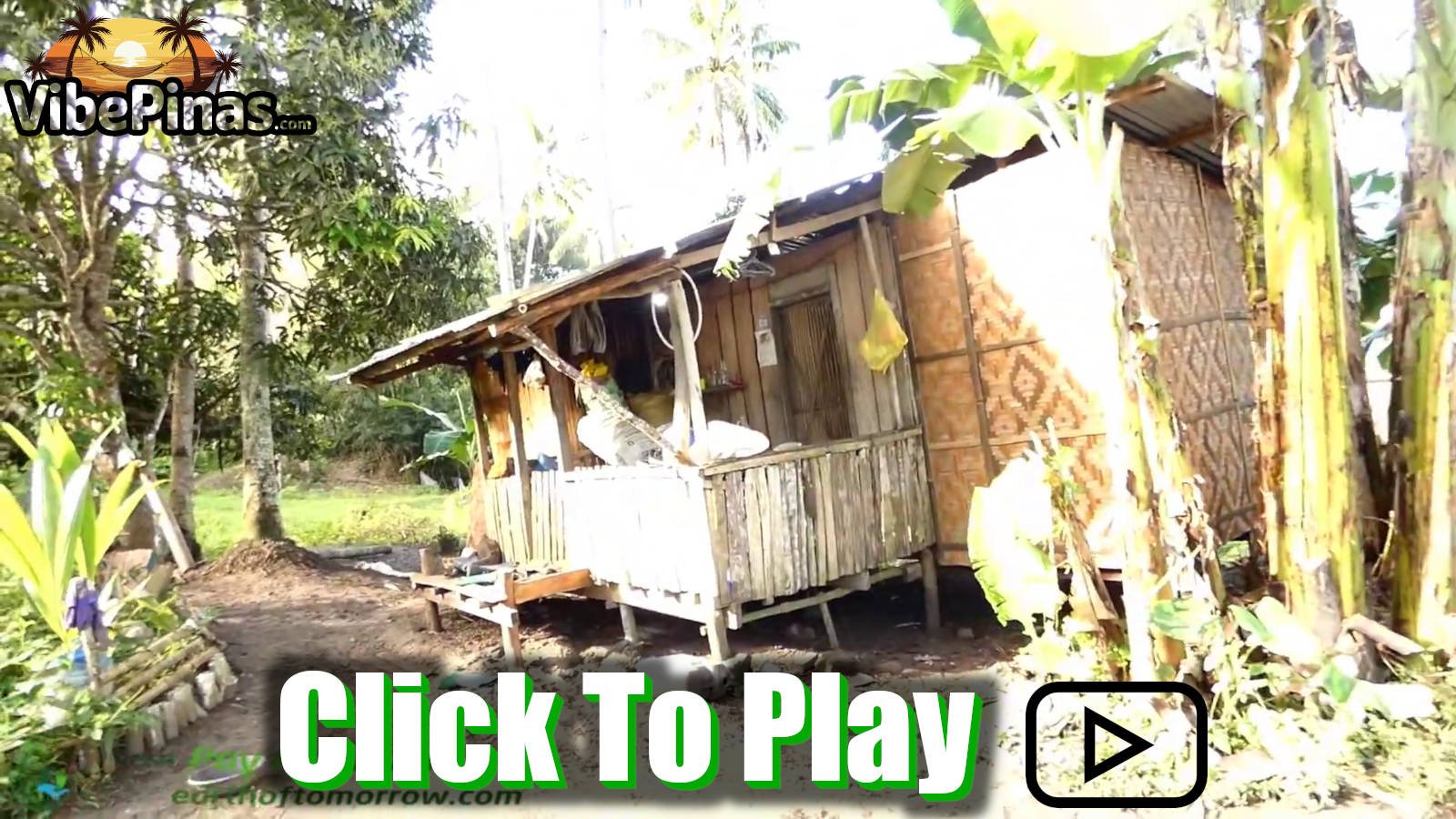 We Go To Ginatilan Mountain In Cebu To Find Land