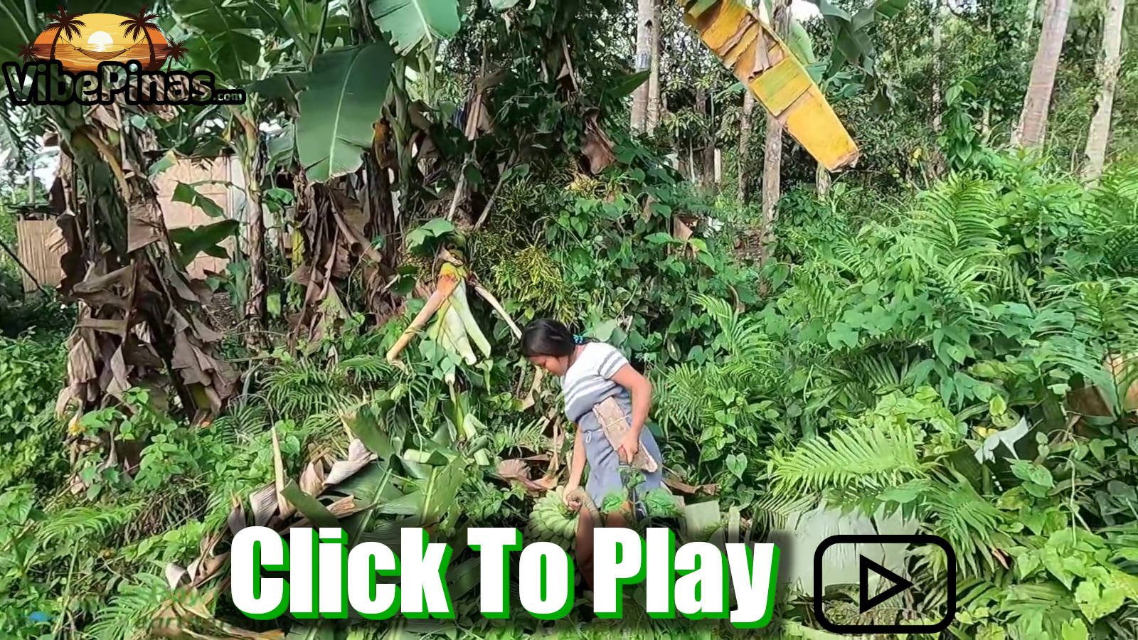 Jessa Goes Bananas And Fiesta Time In Ginatilan Mountain Cebu