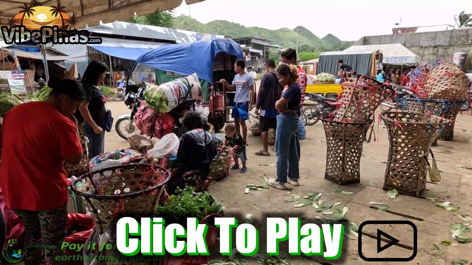 Vegetable Run In Ginatilan Mountain Cebu