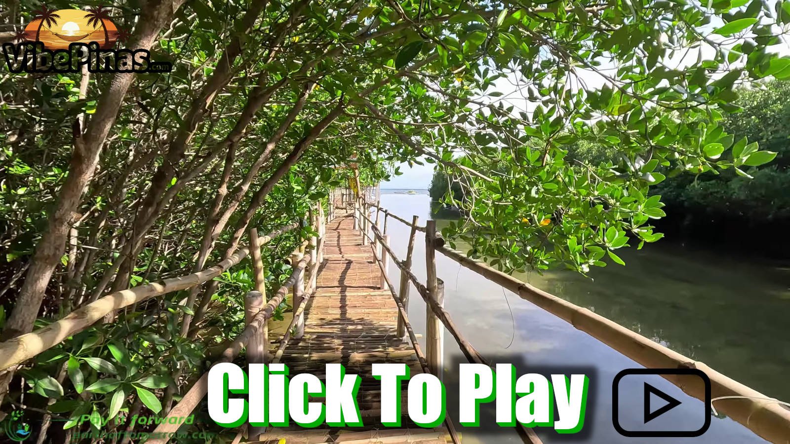 Mangrove Eco Park Camp Sawi And New Friends Bantayan Island