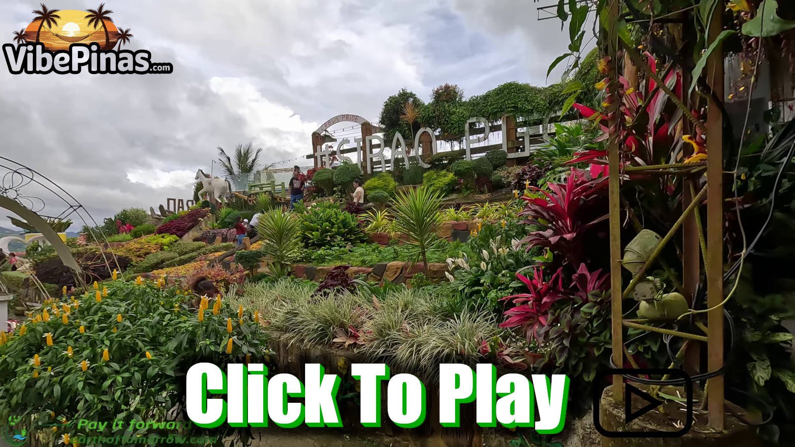 Sirao Alejandra And Terrazas Flower Gardens Plus Zipline Cafe In Cebu