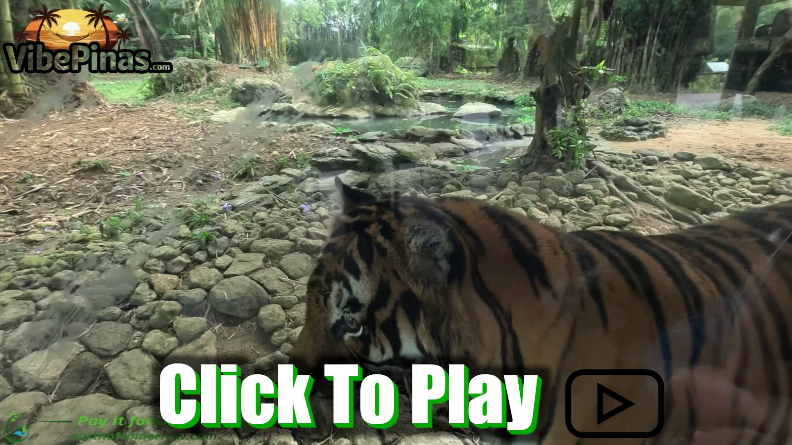 We Go To Cebu Safari And Adventure Park In Carmen