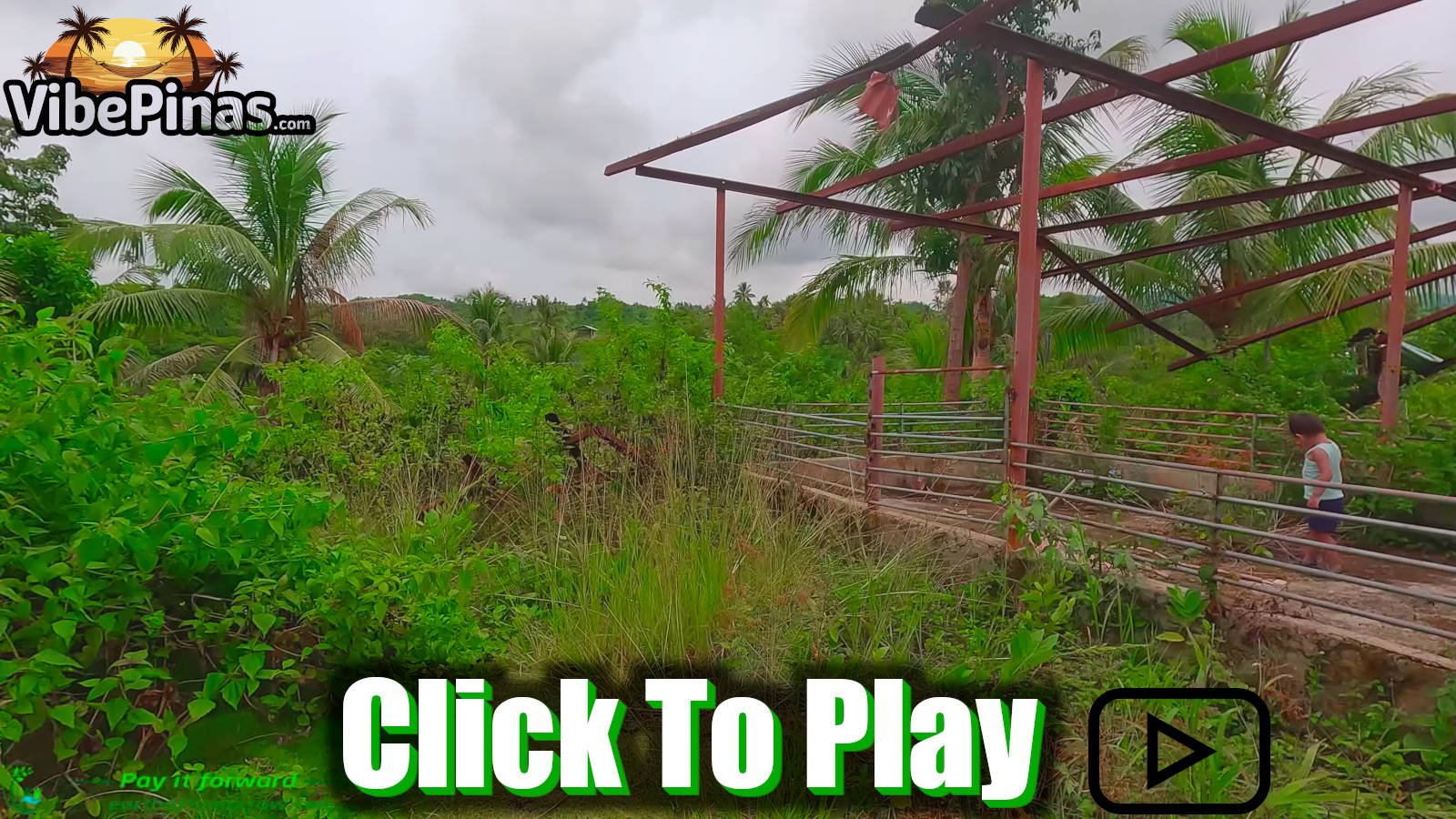 We Have Bought Land In Ronda Cebu