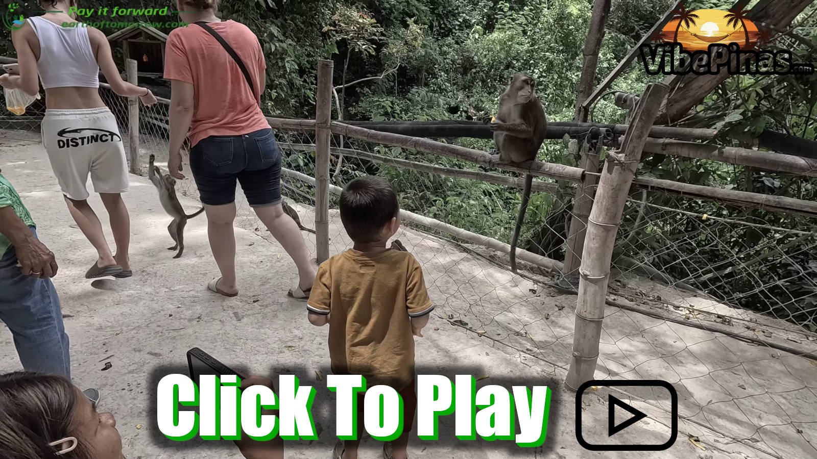 Monkeys Family Day And Behind The Scenes